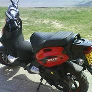 PGO pmx sport
