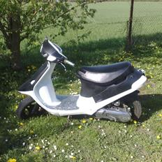 PGO Comet "Night & Day" SOLGT