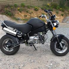 Skyteam PBR ST50 SOLGT