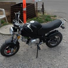 Skyteam PBR ST50 SOLGT