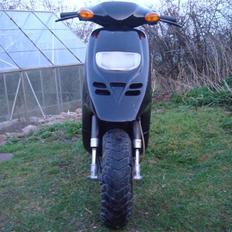 Piaggio Typhoon HH racing-Edition