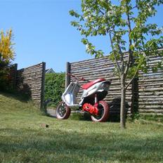 Gilera Stalker - efter