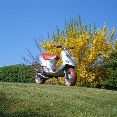 Gilera Stalker - efter