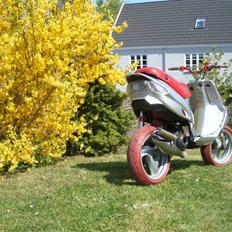 Gilera Stalker - efter