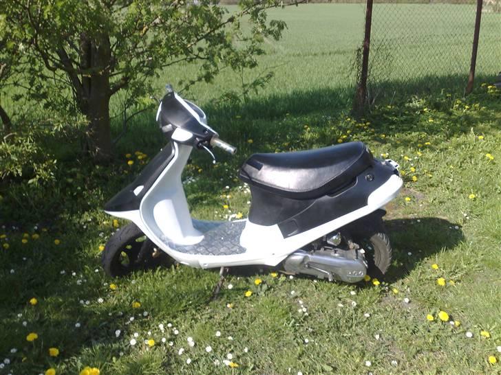 PGO Comet "Night & Day" SOLGT billede 2