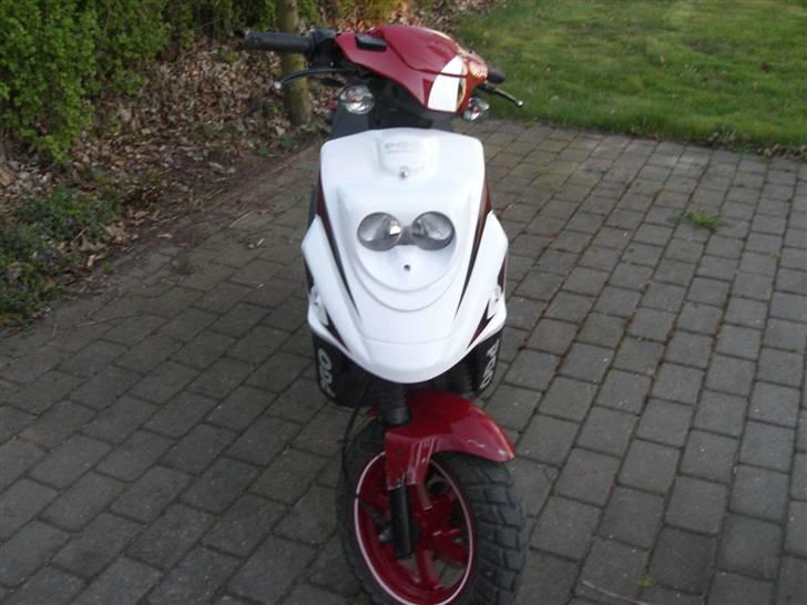 PGO Hot 50 - PGO hot 50 billede 6