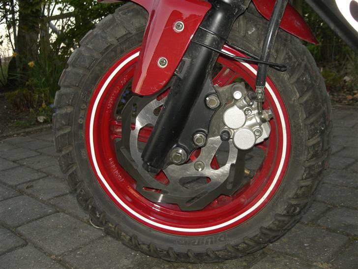 PGO Hot 50 billede 8