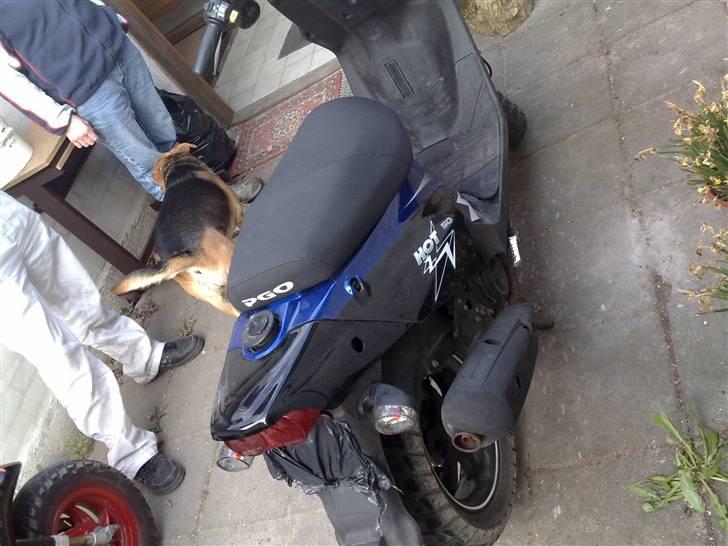 PGO hot 50 billede 3