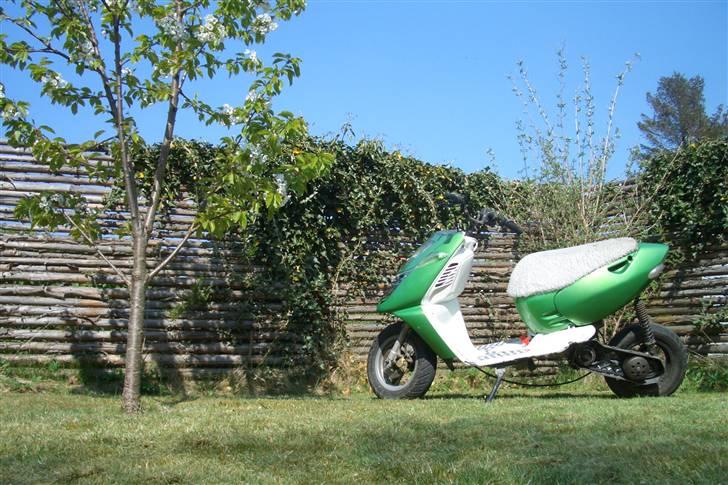 Aprilia sonrox  - 75 % Færdig billede 10