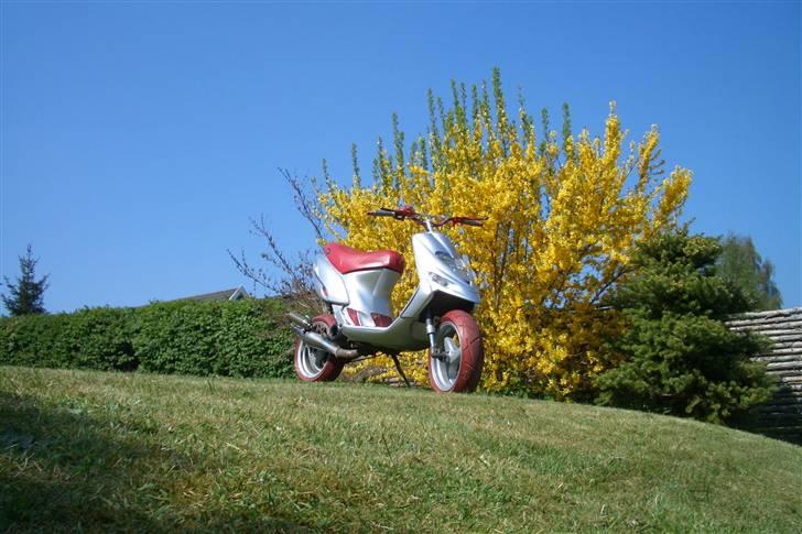 Gilera Stalker - efter billede 2