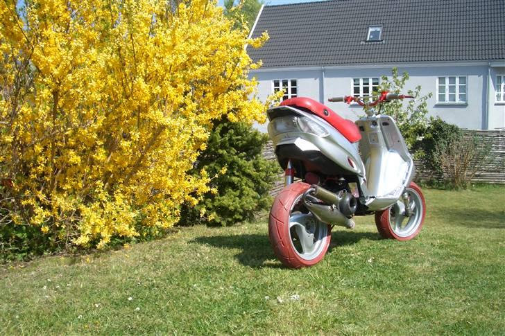 Gilera Stalker - efter billede 3