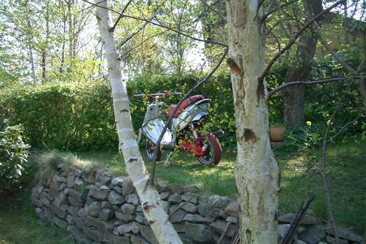 Gilera Stalker - efter billede 5