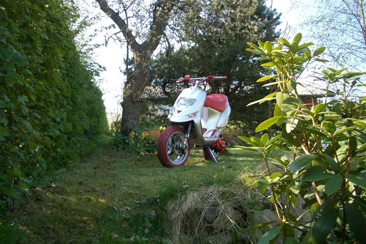 Gilera Stalker - efter billede 6
