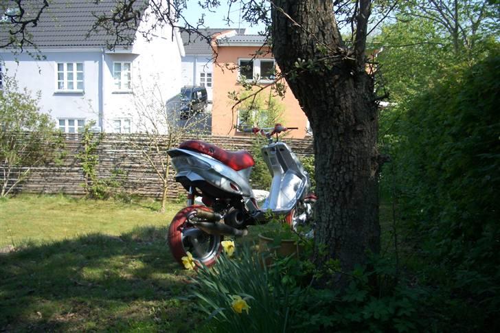 Gilera Stalker - efter billede 7
