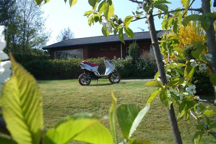 Gilera Stalker - efter billede 8