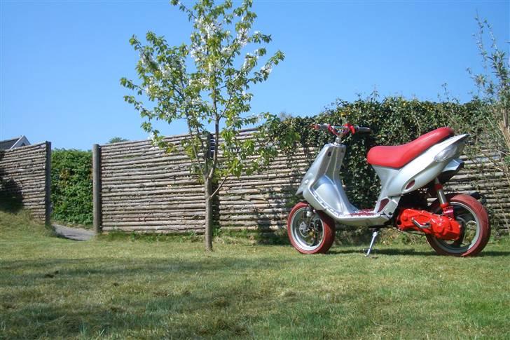 Gilera Stalker - efter billede 9