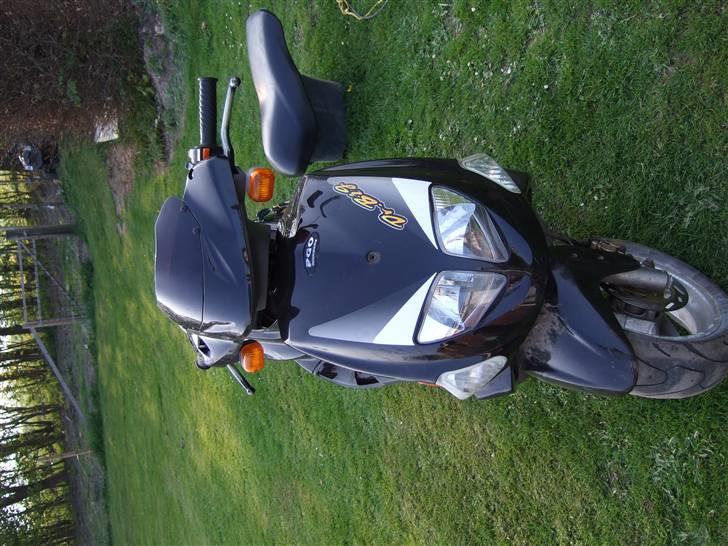 PGO Dr. Big [byttet] billede 15