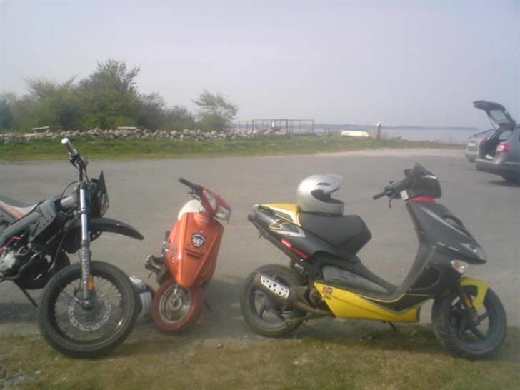 Aprilia sr50 lc Projekt billede 10