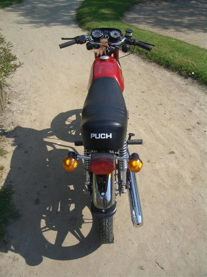 Puch Monza Juvel 3-X billede 3