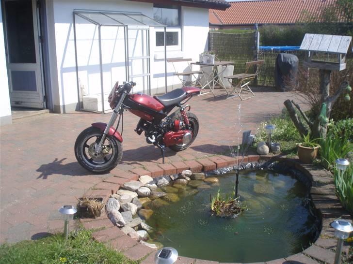 Suzuki                                            Street  billede 17