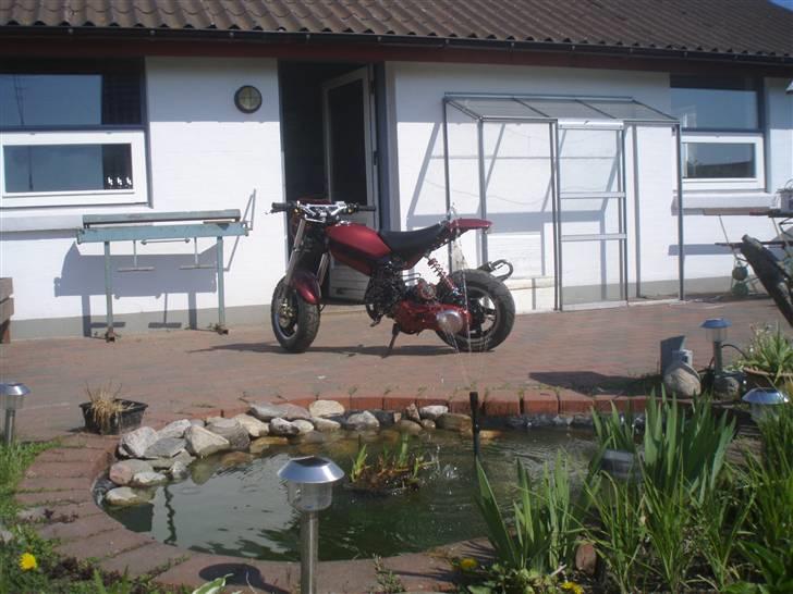 Suzuki                                            Street  billede 18