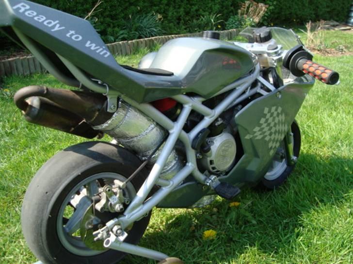 Blata Elite (Solgt) billede 7