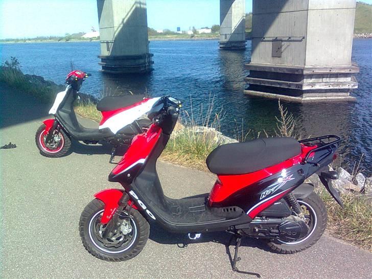 PGO Hot 50 billede 5