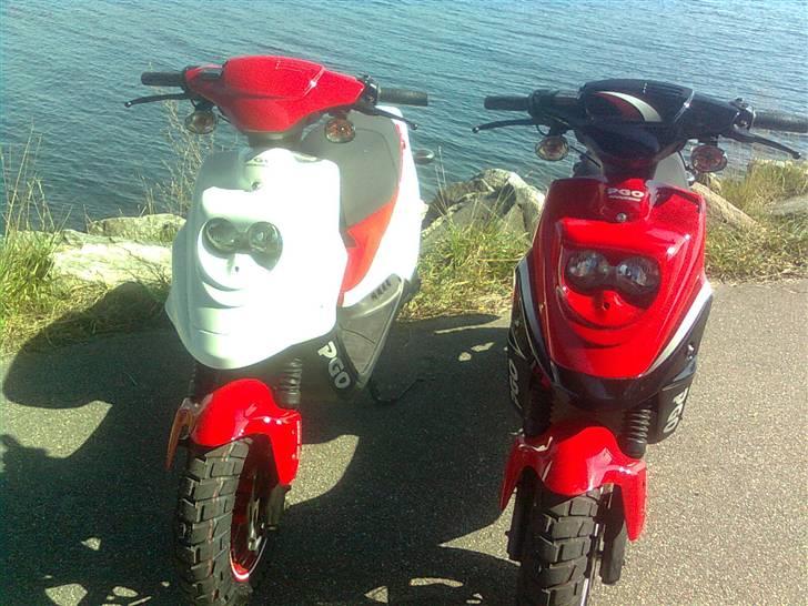 PGO Hot 50 billede 8