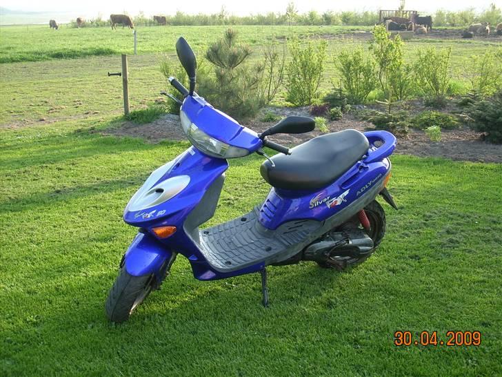 Adly silver fox  billede 1