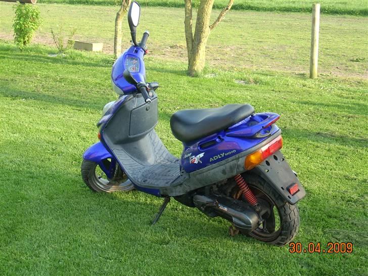 Adly silver fox  billede 2