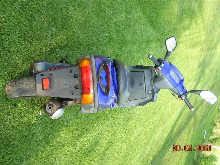 Adly silver fox  billede 3