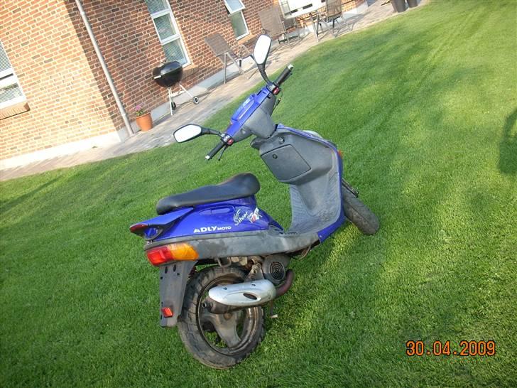 Adly silver fox  billede 4