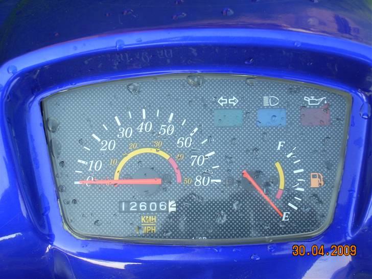 Adly silver fox  billede 6