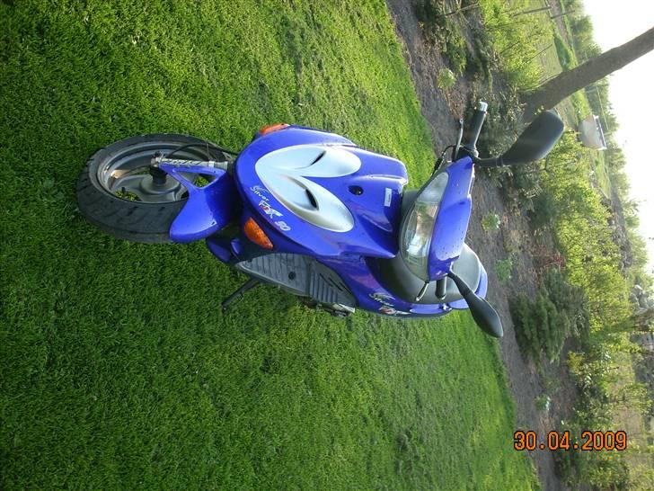 Adly silver fox  billede 7