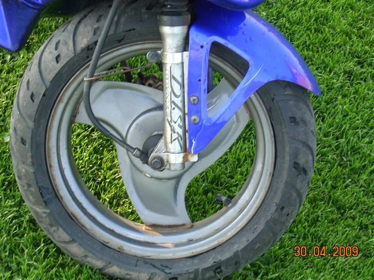 Adly silver fox  billede 8