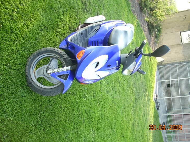 Adly silver fox  billede 10