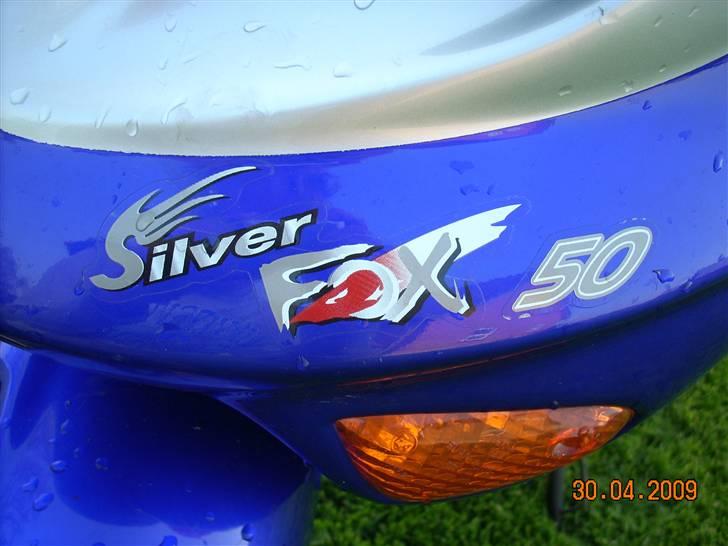 Adly silver fox  billede 12