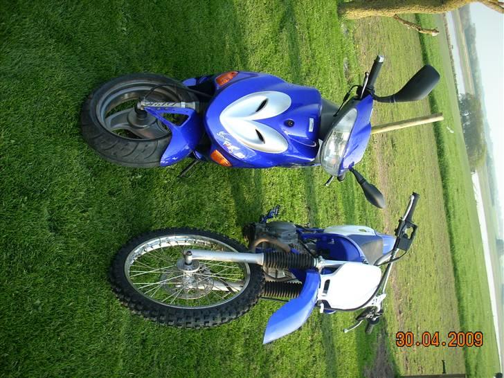 Adly silver fox  billede 13