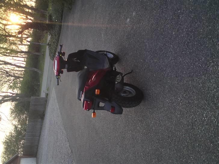 PGO Hot 50 (SOLGT) billede 9