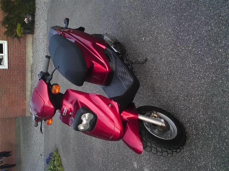 PGO Hot 50 (SOLGT) billede 11