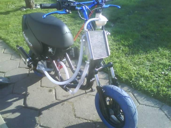 Aprilia sonic* lavet evo ac billede 1