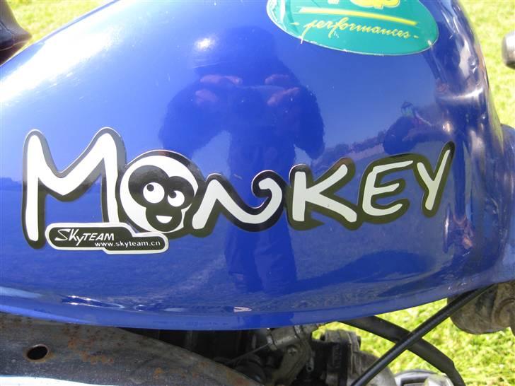 Skyteam Monkey - BYTTET billede 5