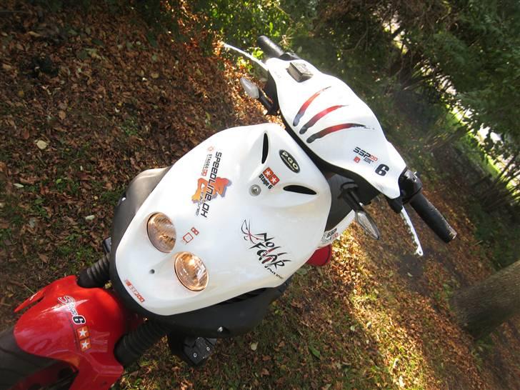 PGO Pmx Sport (No Fear) billede 12