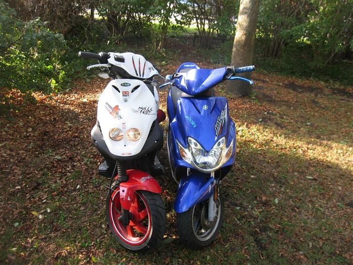 PGO Pmx Sport (No Fear) billede 13