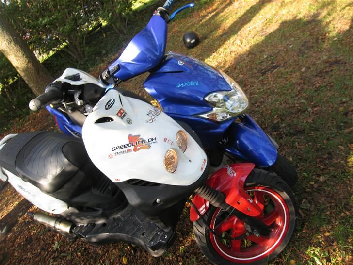 PGO Pmx Sport (No Fear) billede 14