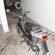 Honda wallaroo (SOLGT)