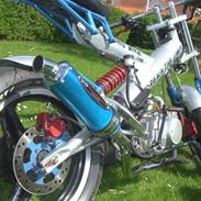 Sachs MadAss// SOLGT!