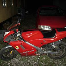 Cagiva mito 50 (solgt)