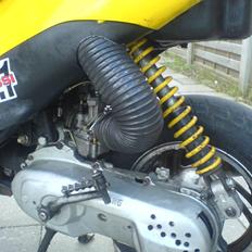 Siamoto siamoto birdie