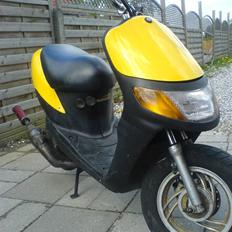 Siamoto siamoto birdie